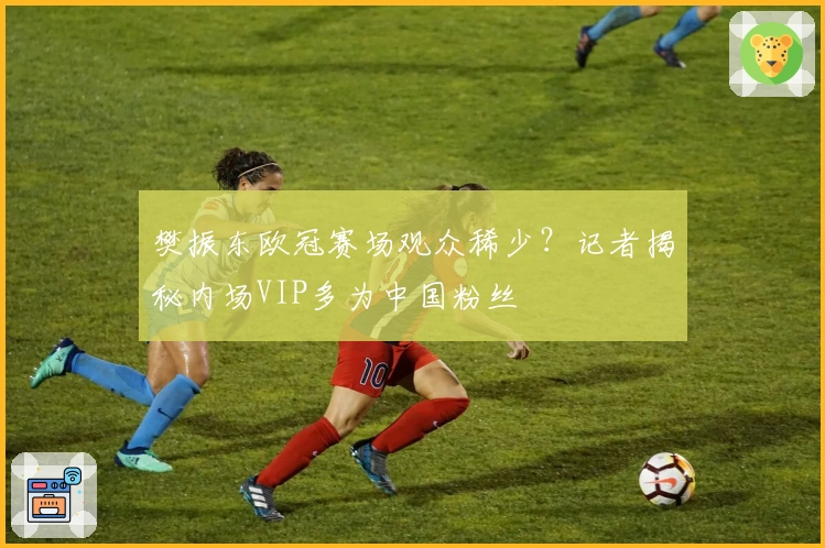 樊振东欧冠赛场观众稀少？记者揭秘内场VIP多为中国粉丝