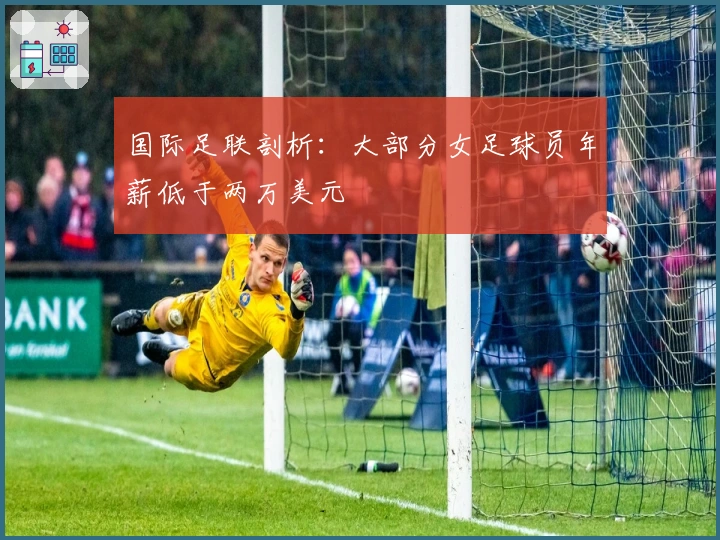 国际足联剖析：大部分女足球员年薪低于两万美元