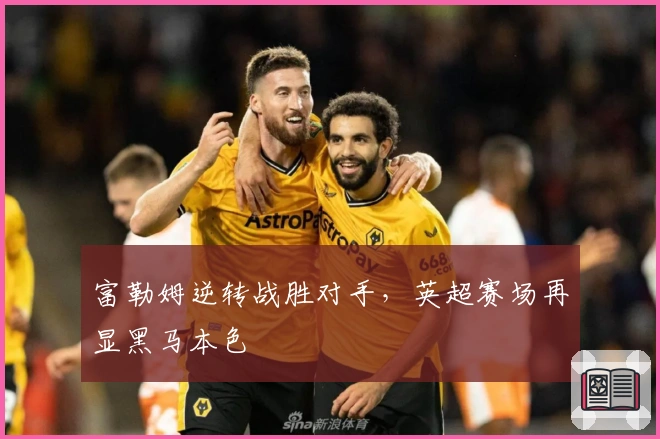 富勒姆逆转战胜对手，英超赛场再显黑马本色