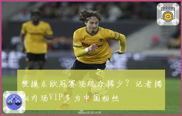 樊振东欧冠赛场观众稀少？记者揭秘内场VIP多为中国粉丝