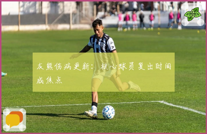 灰熊伤病更新：核心球员复出时间成焦点